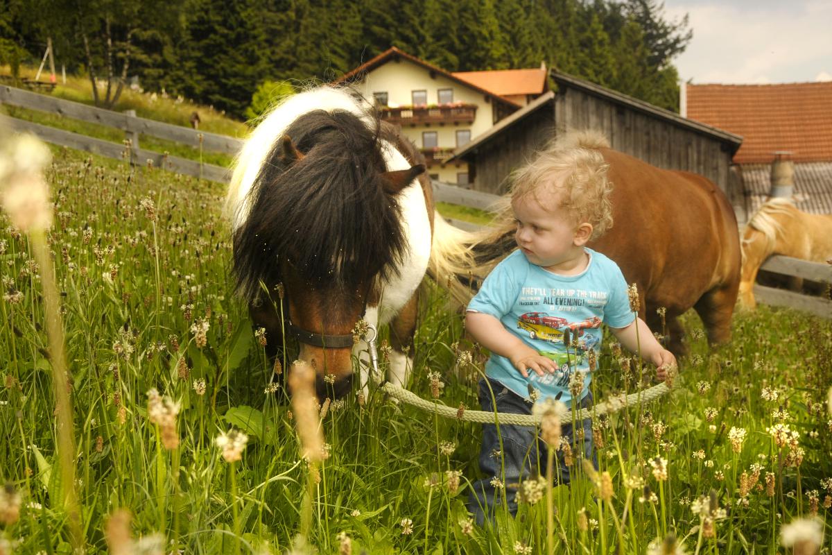 Freizeit- und Erlebnishof Schötz in Haibach-Elisabethszell