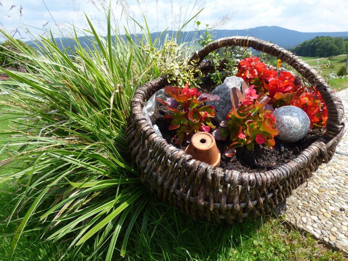 Pension Friedrich in Gotteszell