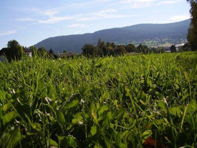 Ferienwohnung Bauer in Arnbruck