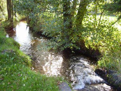 Ferienwohnung Bauer in Arnbruck