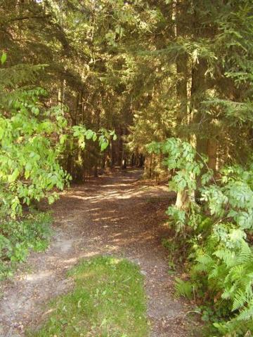 Ferienwohnung Bauer in Arnbruck