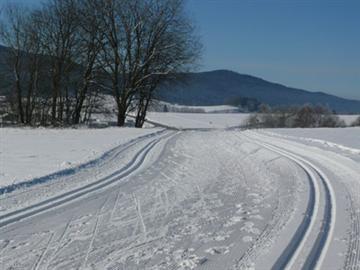 Ferienwohnung Bauer in Arnbruck