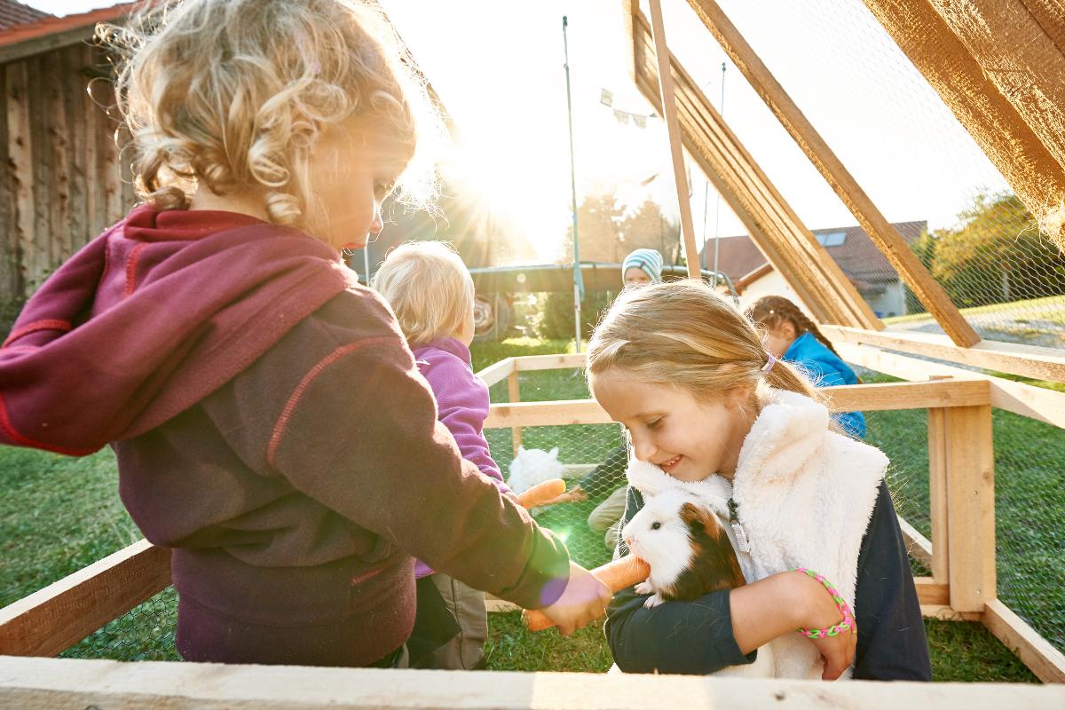 Ferienhof Stetter in Schöllnach