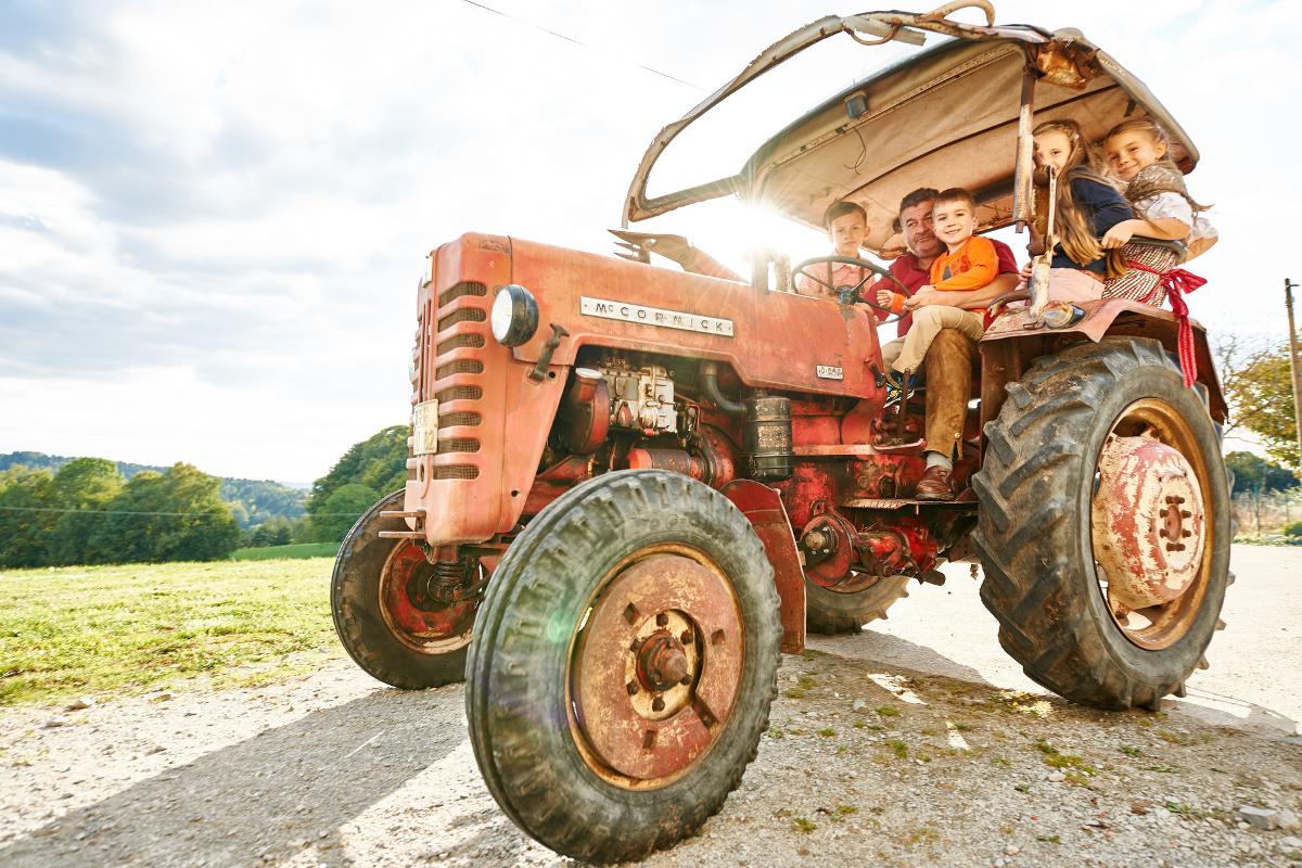 Ferienhof Stetter in Schöllnach