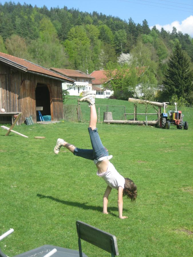 Landhof Fischer  in Geiersthal