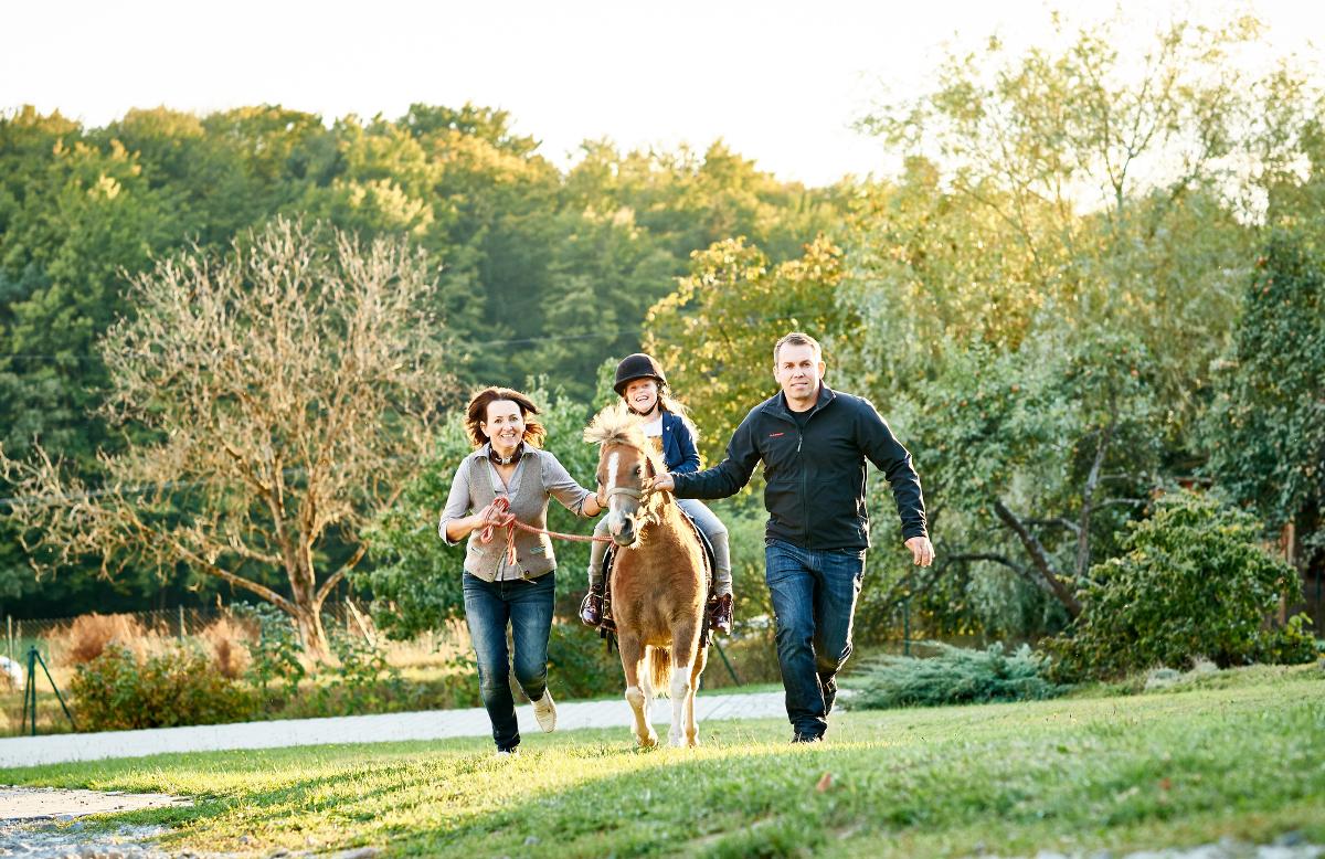 Ferienhof Stetter in Schöllnach