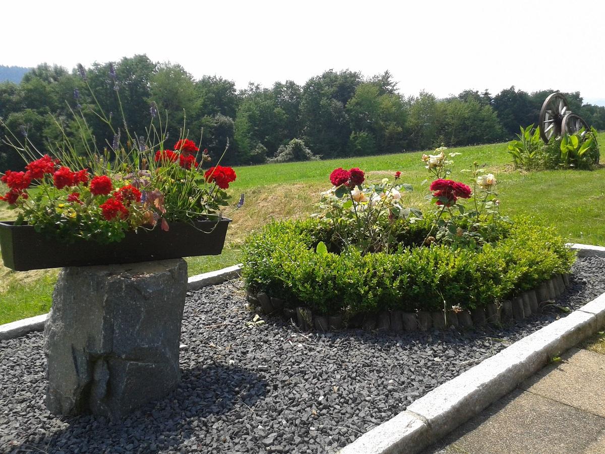 Michel & Friends Hotel Waldkirchen in Waldkirchen