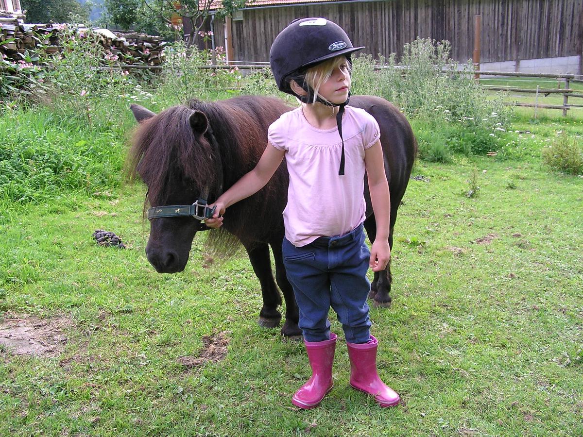 Ponyhof Killinger  in Zwiesel