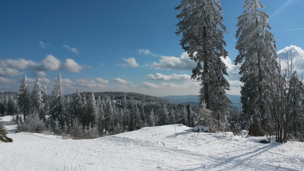 Fewo / Pension Fremuth in Ruhmannsfelden