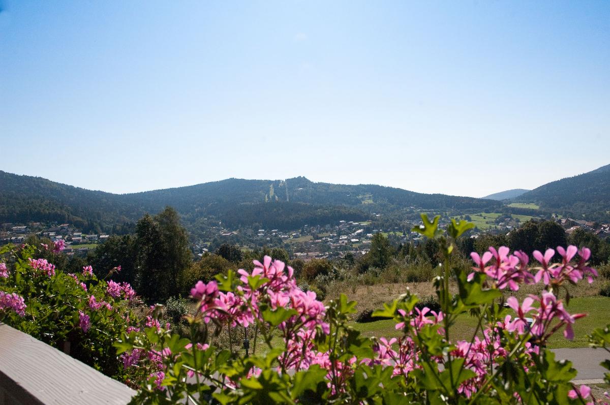 Ferienhaus Bergwald in Bodenmais