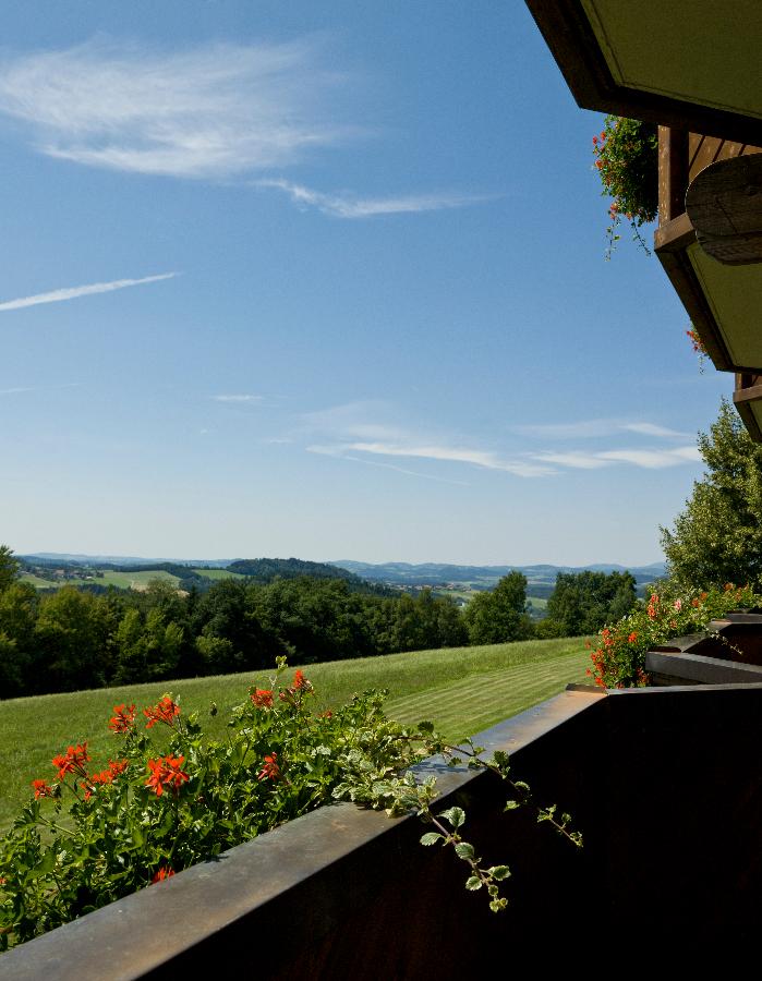 Michel & Friends Hotel Waldkirchen in Waldkirchen