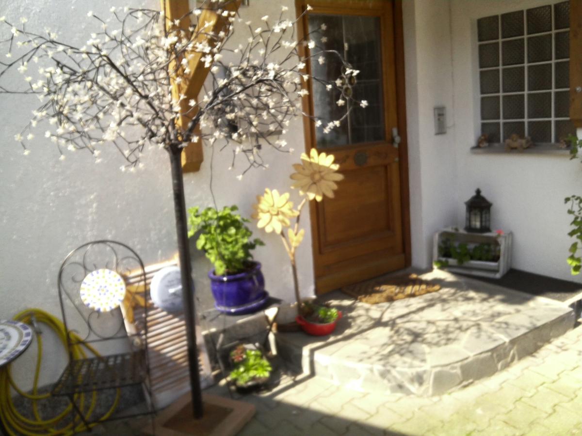 Ferienwohnung Ebner in Rinchnach