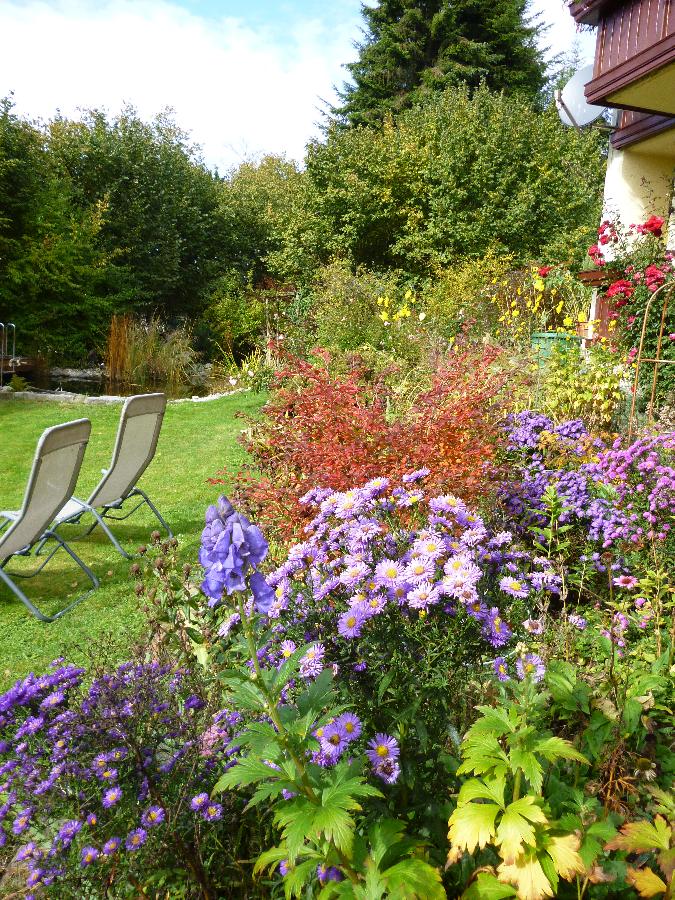 Sternenblick  in Drachselsried