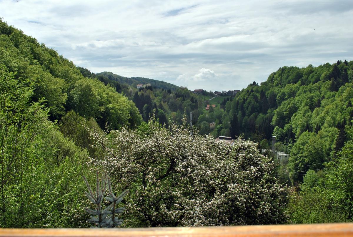 Fewo Radi an der Buchberger Leite in Hohenau