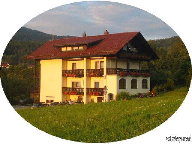 Pension Gürster  in Bodenmais
