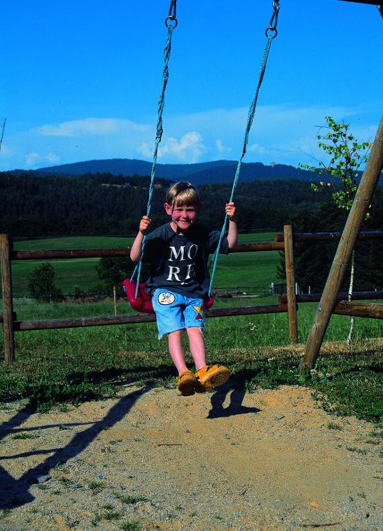 Feriendorf Schwarzholz * - ***** in Viechtach