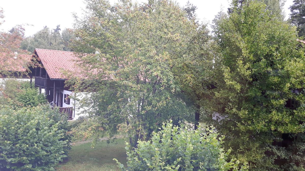 Waldferiendorf Haus Virzi inkl. Aktiv Card in Regen