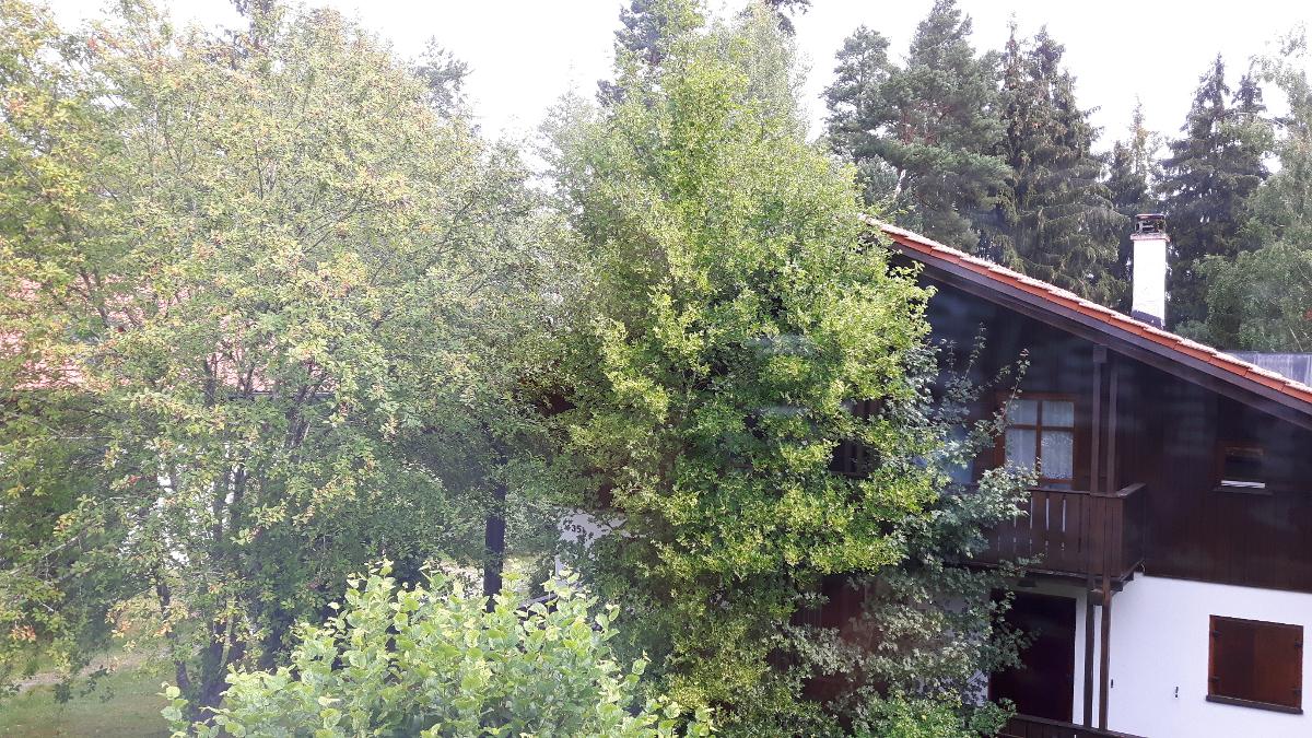 Waldferiendorf Haus Virzi inkl. Aktiv Card in Regen