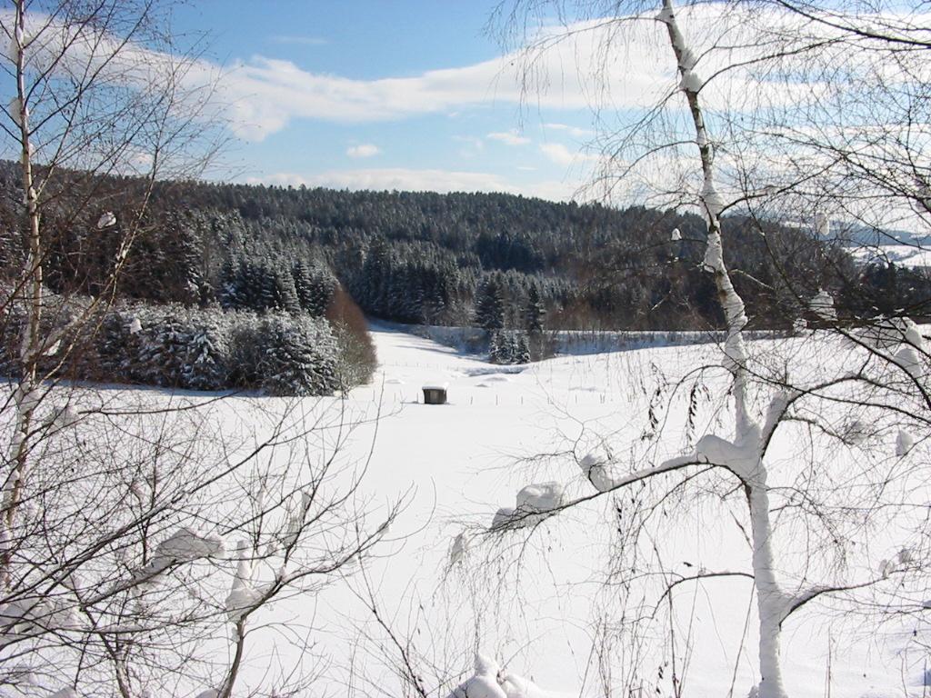 Landhaus Laih in Grafenau