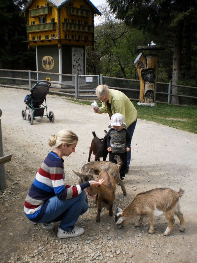 Gästehaus Moser in Lohberg