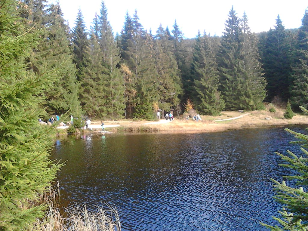 Gästehaus Moser in Lohberg