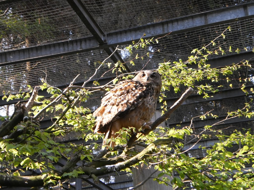 Gästehaus Moser in Lohberg