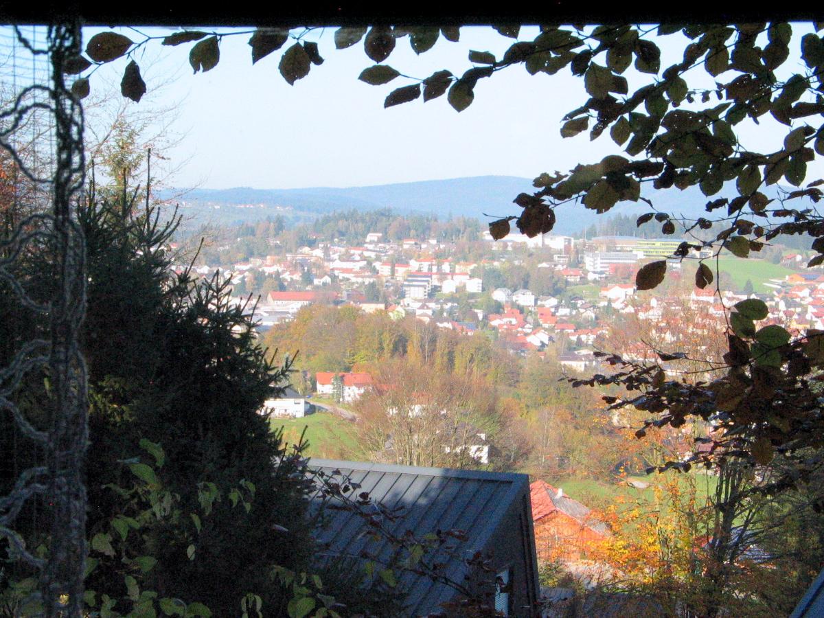 Ferienhaus Hajek in Freyung