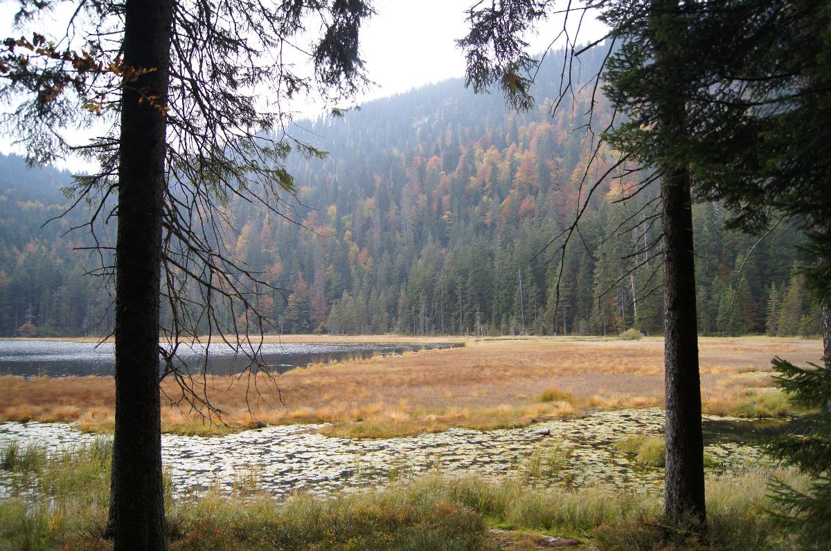 Ferienbauernhof Kilger in Kaikenried