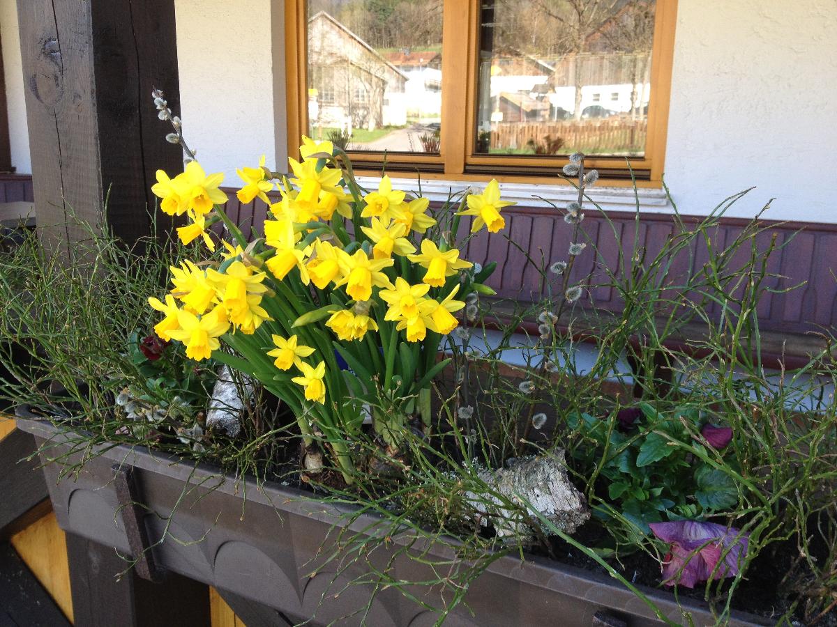 Gasthof Oberried in Drachselsried