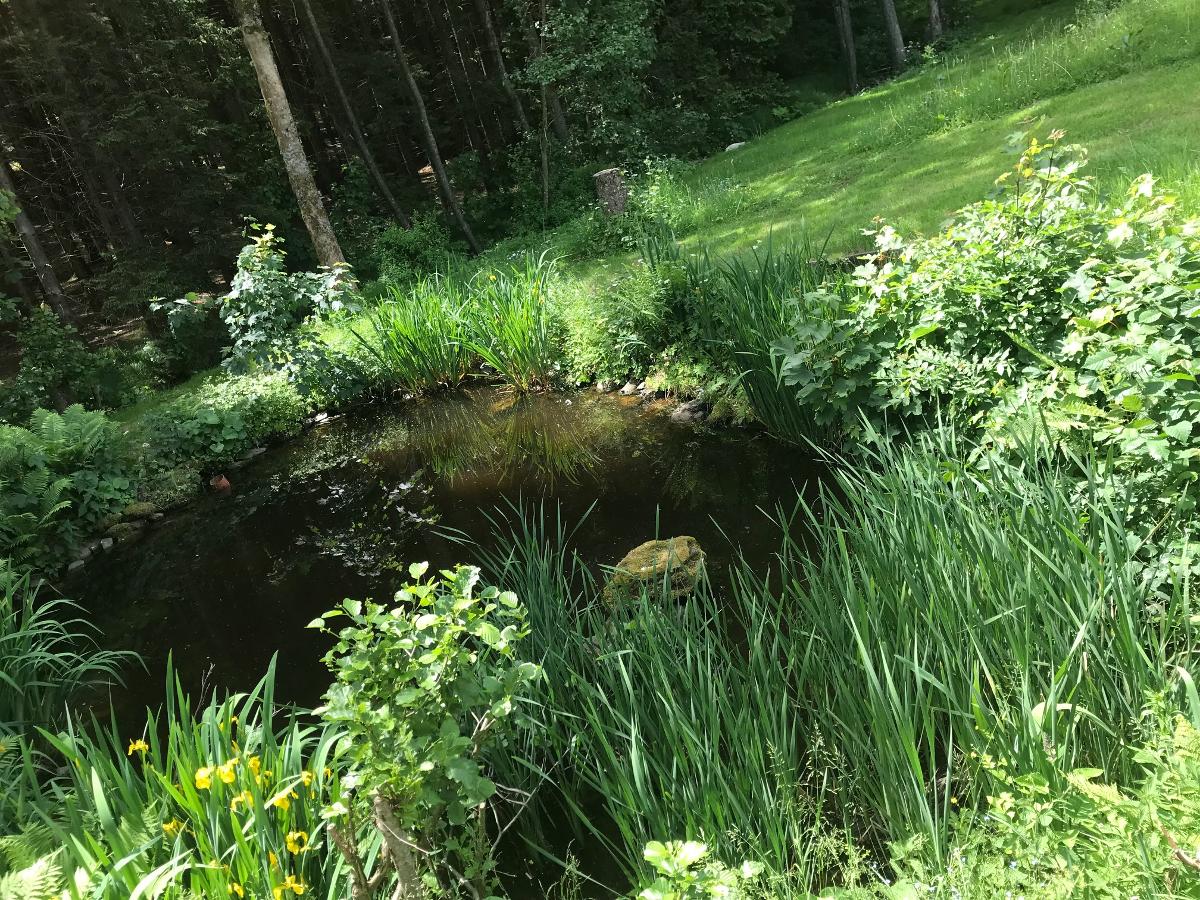 Fewo Landhaus Hubertus in Bischofsmais