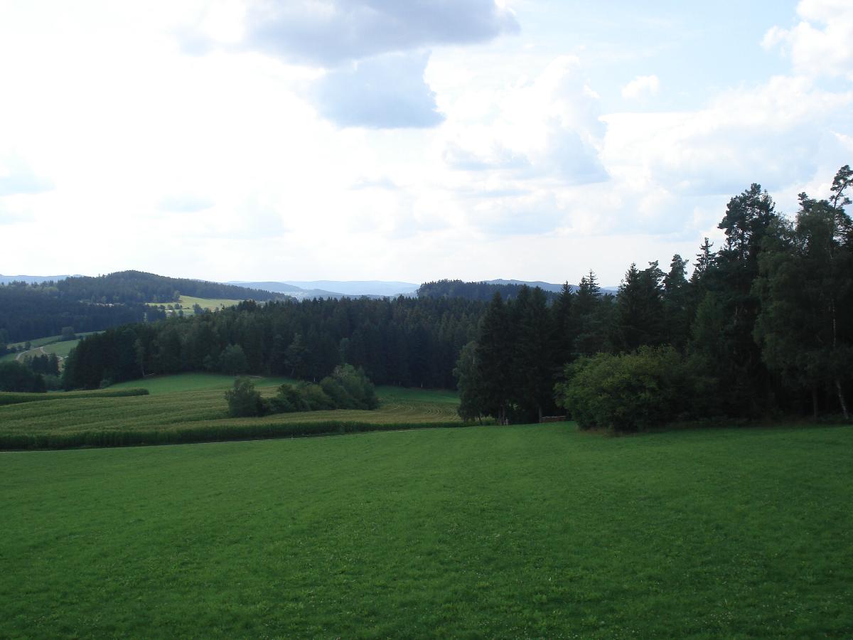 Haus Hönigsgrub in Rinchnach