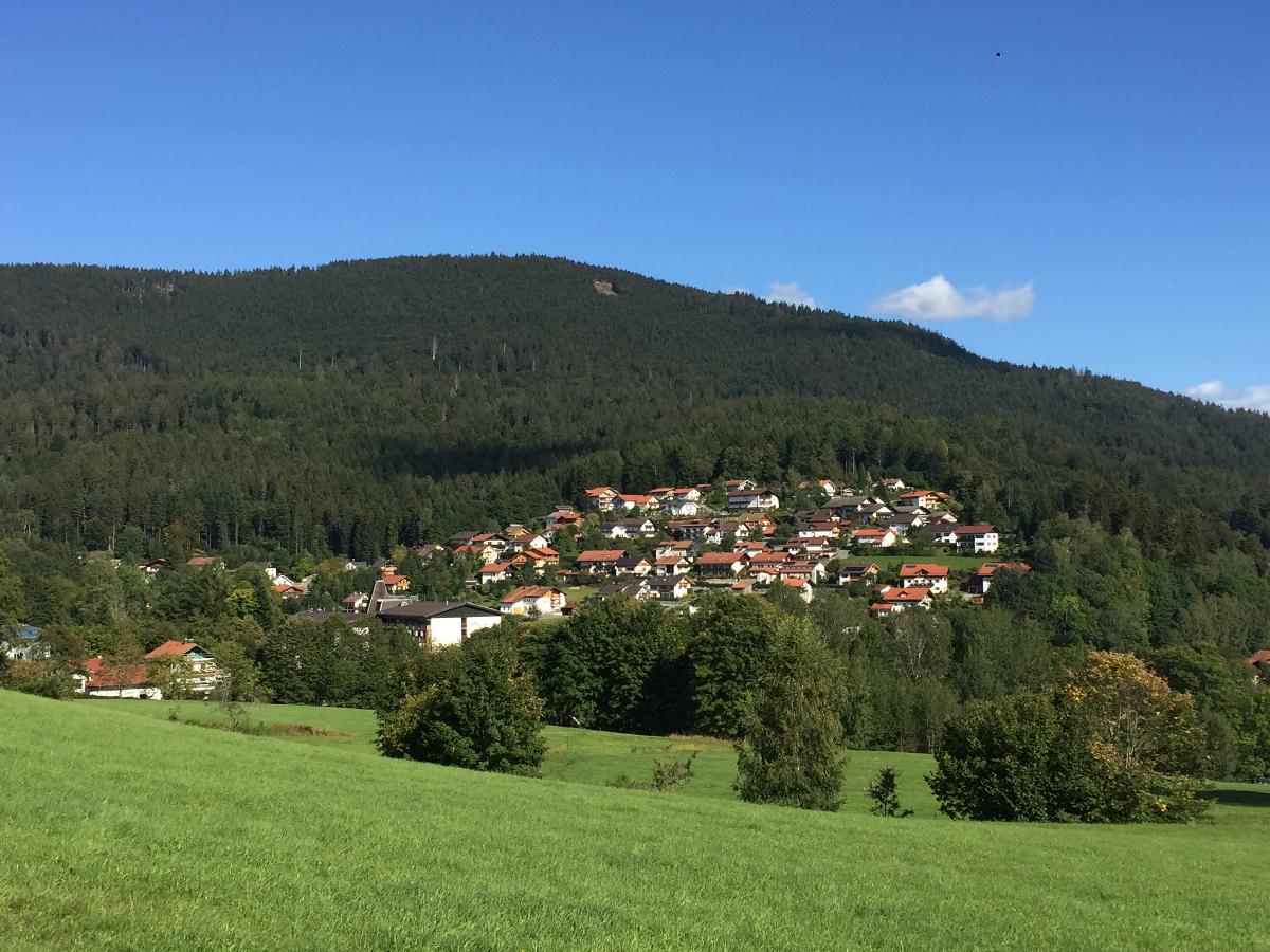 Ferienwohnungen Haus Elisabeth in Bodenmais
