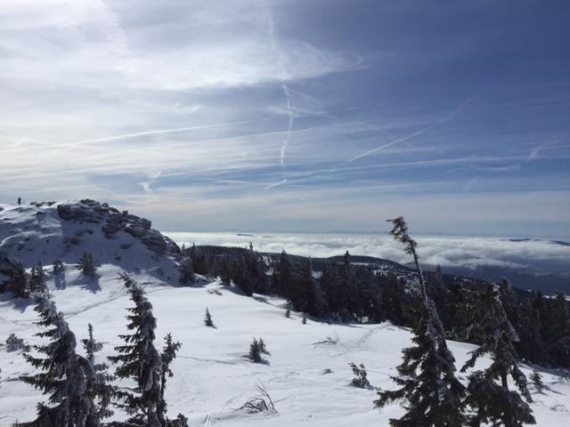 Schweizer Häusl in Bayerisch Eisenstein