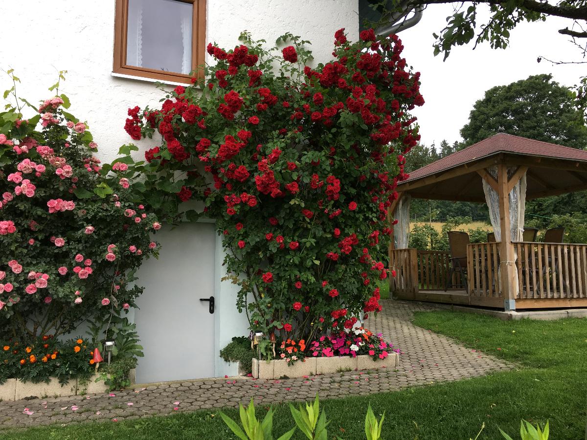 Ferienhaus Stoiber Margot in Regen