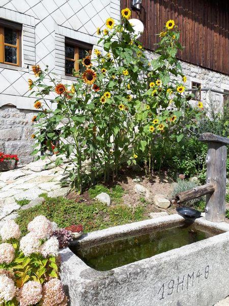 Ferienhaus Hackl in Mauth