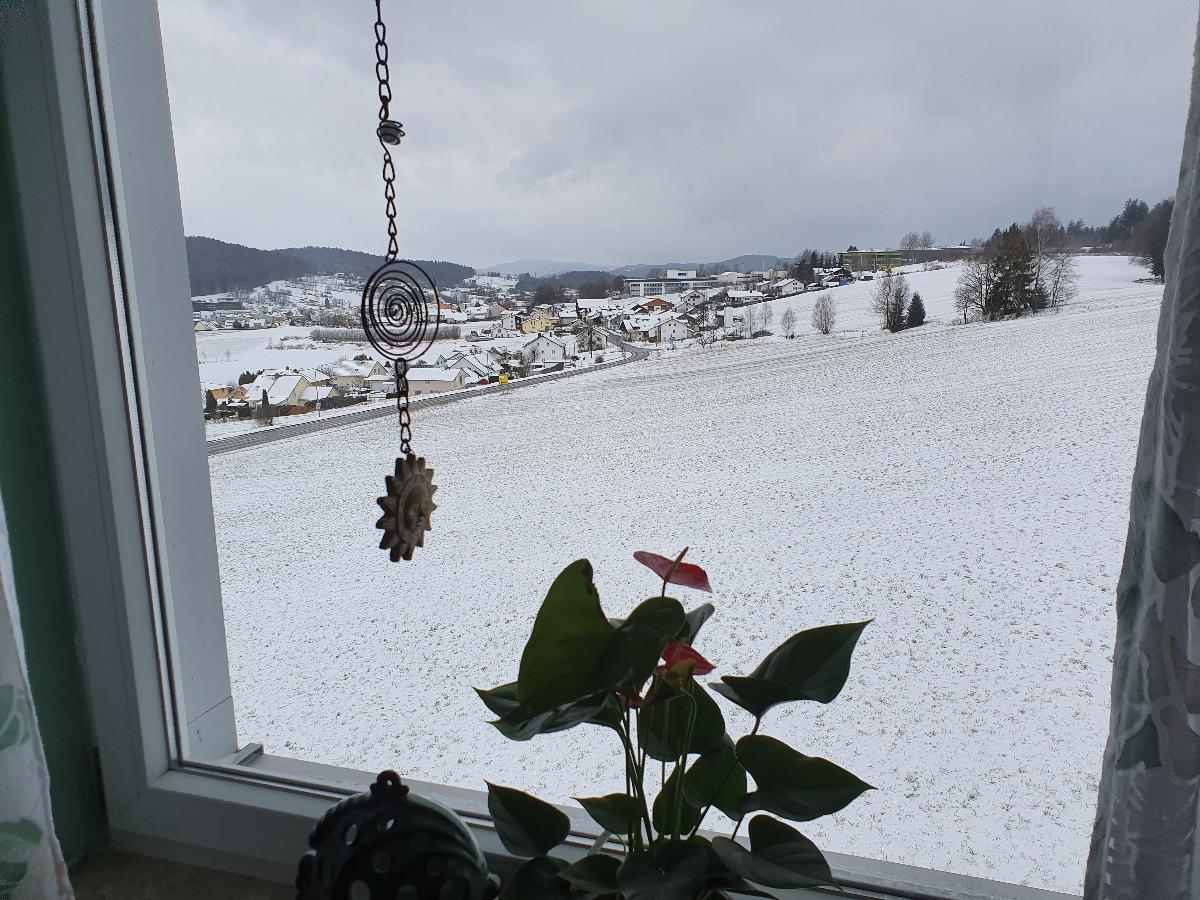 Ferienwohnung Neth in Freyung