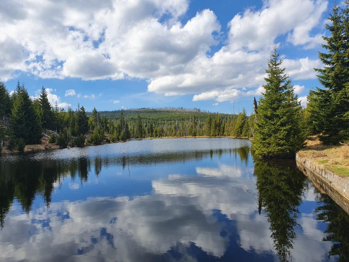 Ferienwohnung Rosl in Waldkirchen 