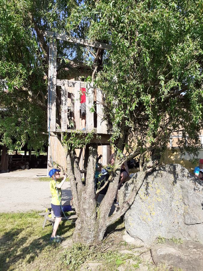 Mattheishof in Grafenau