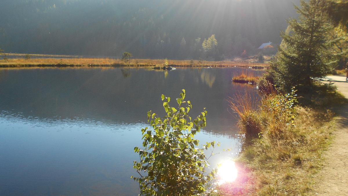Ferienwohnungen Muhr in Bodenmais