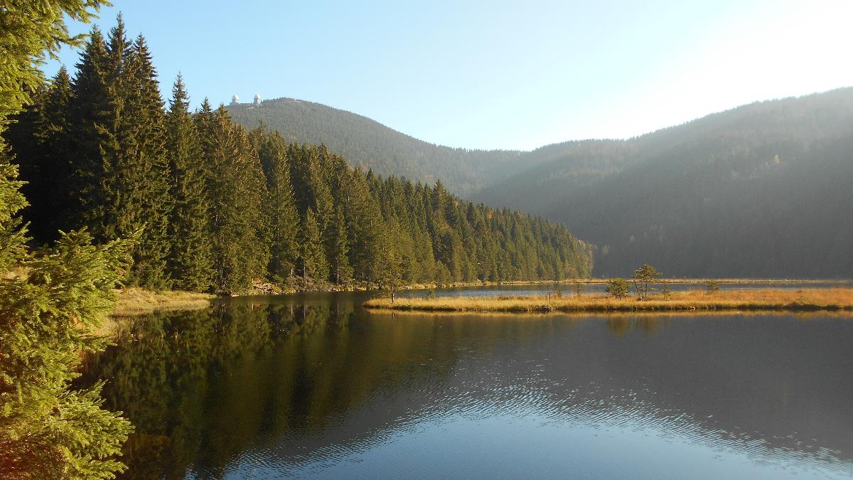 Ferienwohnungen Muhr in Bodenmais