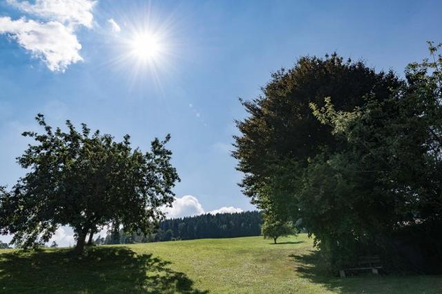 Ferienwohnungen Schweinberger Mühle in Kollnburg