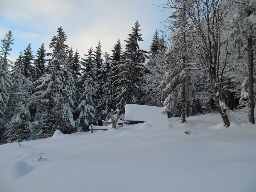 Pension Haus Waldesruh in Lohberg