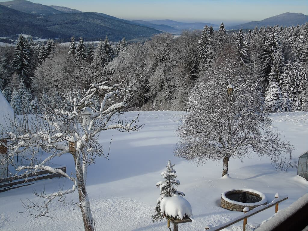 Pension Haus Waldesruh in Lohberg