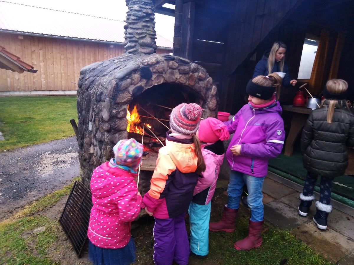 Erlebnisbauernhof Sternhof in Bodenmais