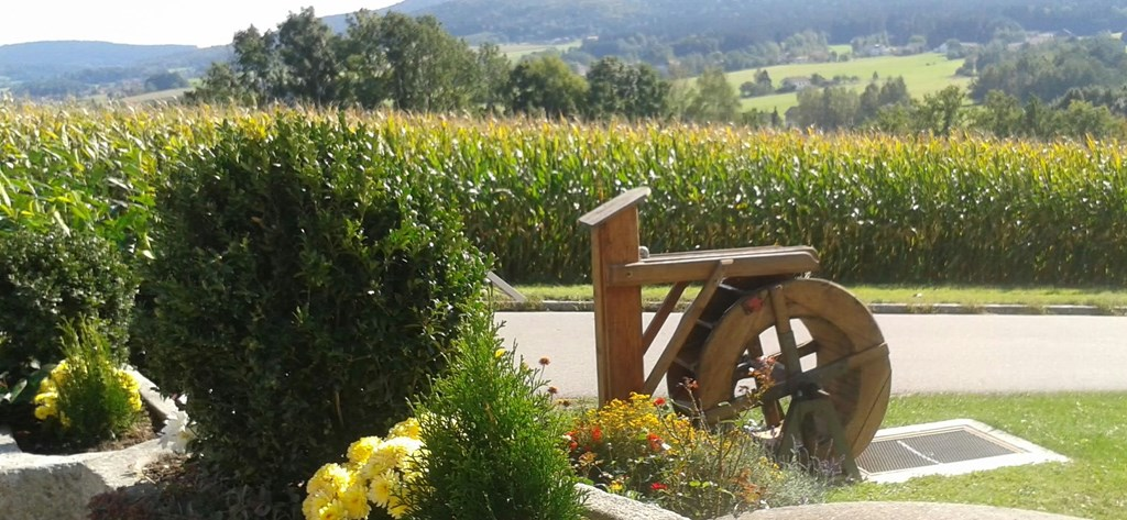 Schuniglhof in Neukirchen b.hl.Blut