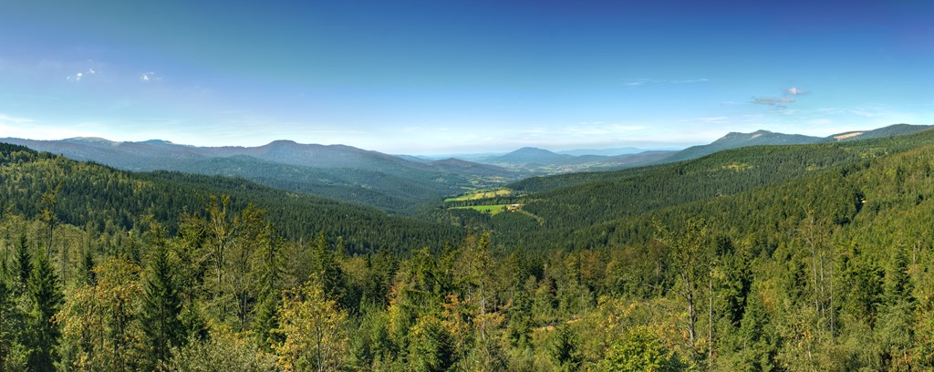 Gasthof-Pension Meindl in Arrach