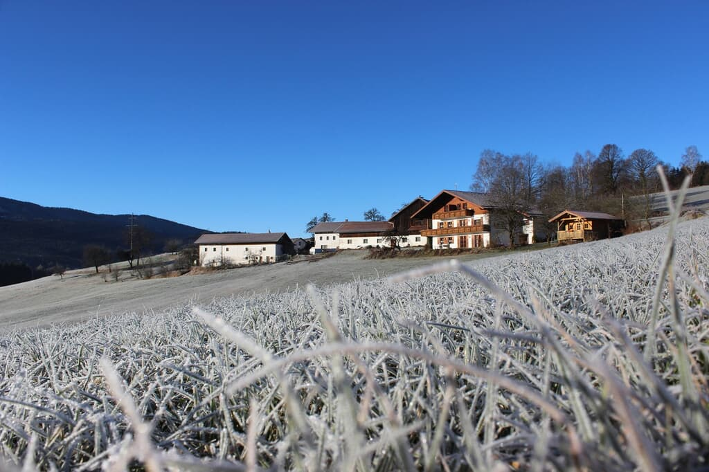 Kriegerhof in Arrach