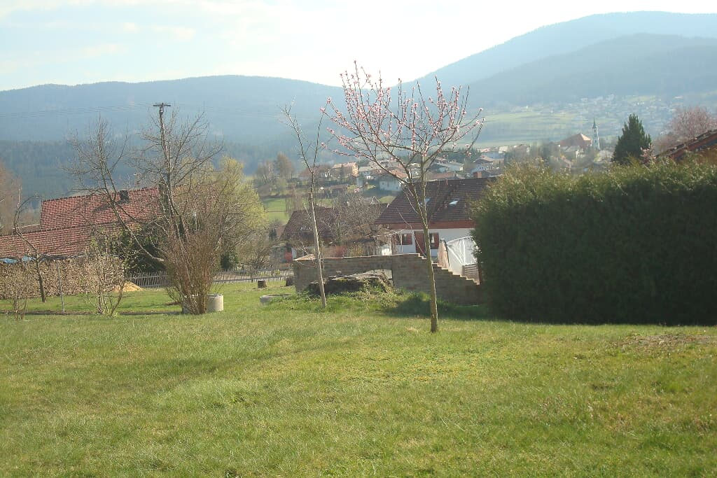 Hamberger Rosa in Arrach