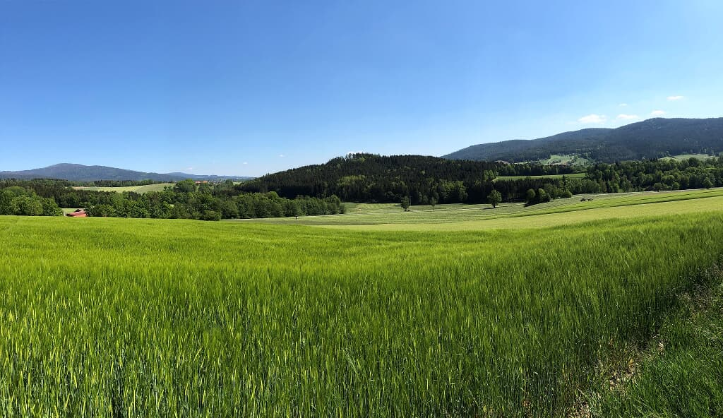 Steinbühler Hof - Stressfrei am Lande in Bad Kötzting