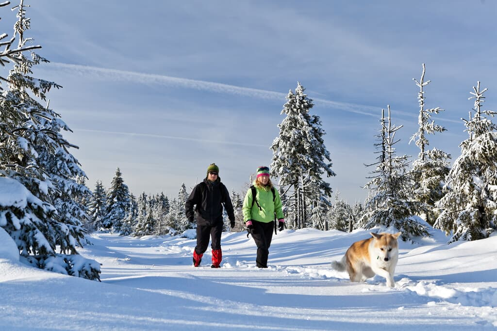 Blockhäuser & Chalets Bayerischer Wald  in Bad Kötzting